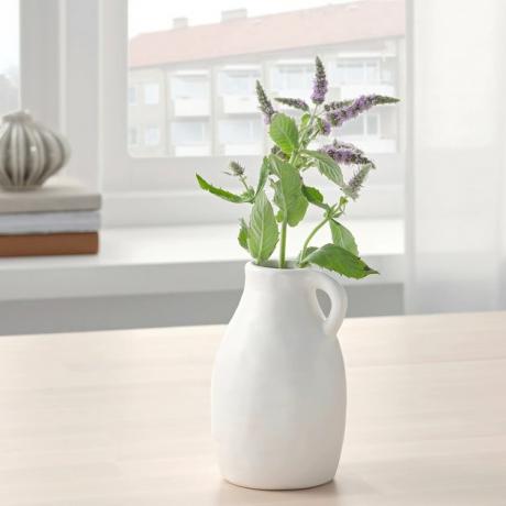 vaso branco com planta dentro