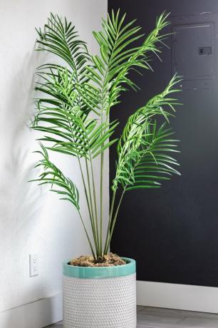 Een palmplant in een grijs-turquoise plantenbak op een grijze hardhouten vloer