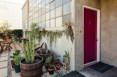 Un edificio industrial con una puerta granate con varias plantas y cactus afuera