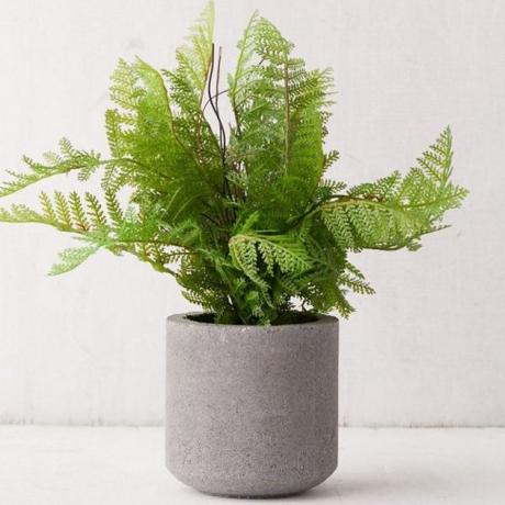 Faux-varen gehuisvest in een cementplanter voor industriële boho-vibes. Het beste gedeelte? Het ziet er het hele jaar door geweldig uit, geen onderhoud nodig.