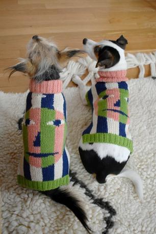 twee honden met bijpassende truien met gezichten