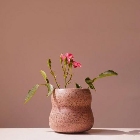 Vaso de cerâmica orgânico manchado de rosa com flores rosa