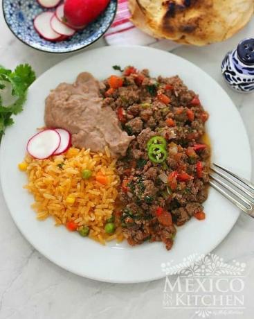 México na minha cozinha Carne moída mexicana