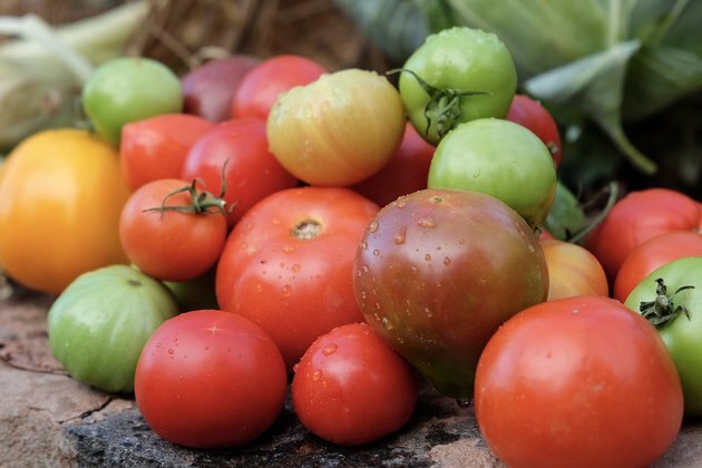 verscheidenheid aan tomaten