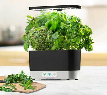 Colheita Aerogarden