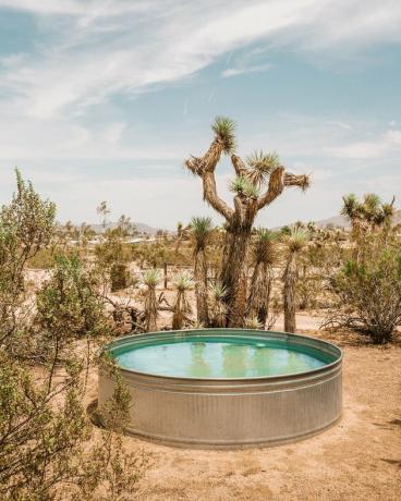 ronde voorraadtank zwembad in de woestijn in de buurt van cactussen