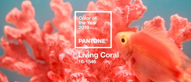 pantone levende koraalkleur van het jaar met koraal en vissen op de achtergrond