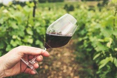 punane vein klaasis viinamarjaistanduses