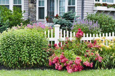 Hage og hvitt stakittgjerde med hus i New England -stil i bakgrunnen