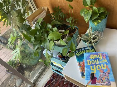 Книги на Мей Респицио на бюрото й от растения