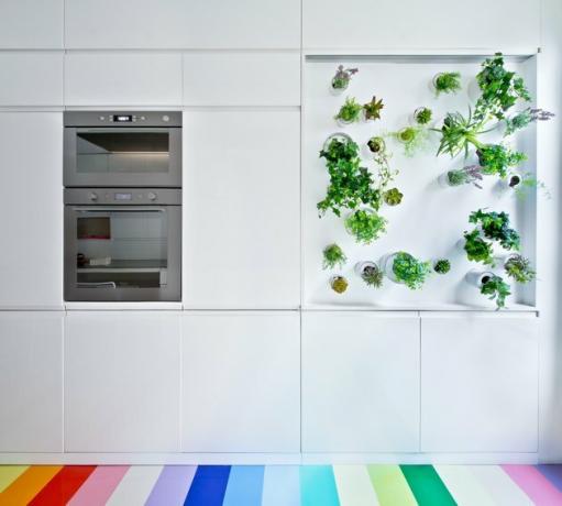 dapur putih modern dengan taman vertikal hidroponik dan lantai pelangi