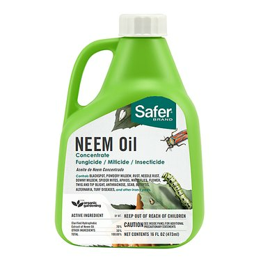 Frasco de produto de óleo de Neem mais seguro