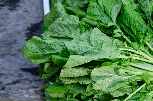 Cierre vegetal de mostaza de hoja verde en la naturaleza.