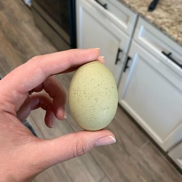 πράσινο αυγό στο χέρι του ατόμου
