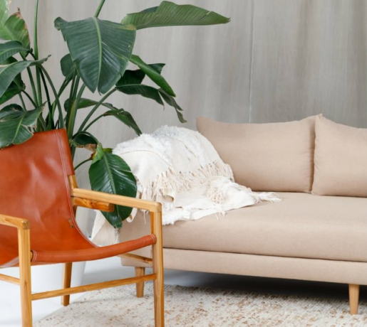 móveis ecológicos com sofá creme com cadeira de couro laranja e planta de casa