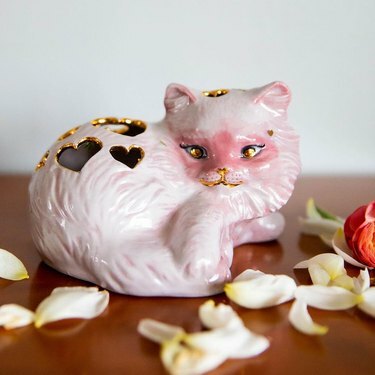 napravite dobar izbor ružičasta vaza za mačke
