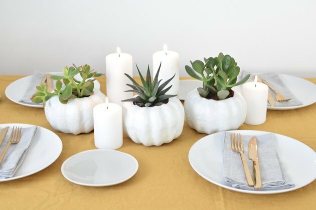 DIY herfstdecor idee pompoenvormige plantenbak met vetplanten