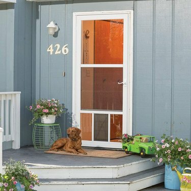 O ușă de furtună pe o casă albastră cu un câine pe veranda din față