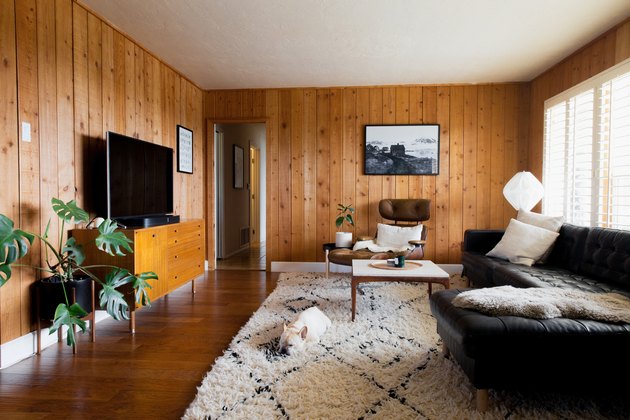 rustiek decor in houten panelen kamer met flatscreen tv, natuurlijke shag tapijt, hond, zwart lederen bank, plant, mid-eeuwse moderne fauteuil, zwart-wit foto op de muur.