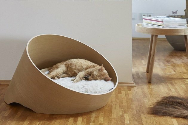 سرير القط الراقية