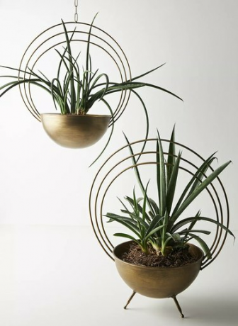 Saturno plantador suspenso