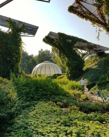 foto do jardim no terraço da biblioteca da universidade de Varsóvia, na polônia