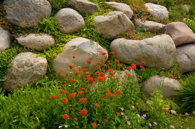 Bergvägg och blommor landskapsarkitektur