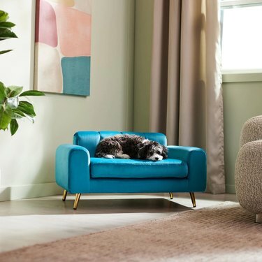 Sofá cama para perros y gatos Frisco Elevated Art Deco