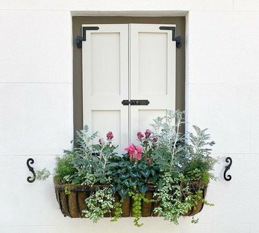 žardinjera za prozore s zelenim, ružičastim i ljubičastim cvjetovima
