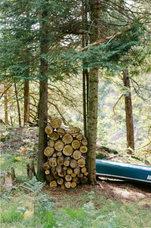 Logboeken van hout gestapeld tussen bomen