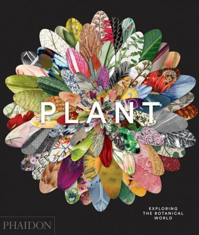 النبات: استكشاف العالم النباتي