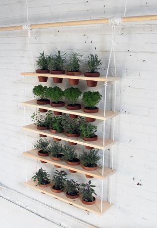 plant muur