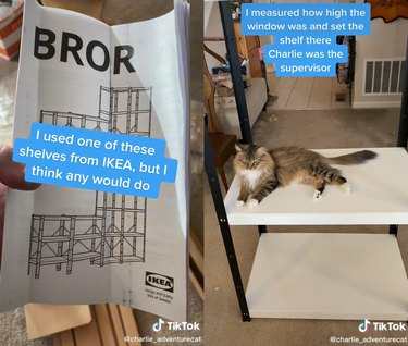 TikTok fotografije IKEA BROR priručnika i mačke koja sjedi na polici