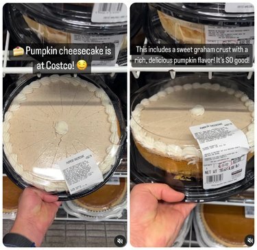 Cheesecake alla zucca da Costco