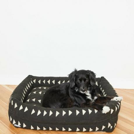Cama de Pet BackUpDesigns