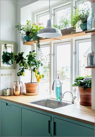 groene en witte keuken met houten venster plant plank