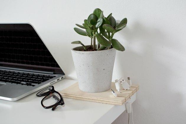 Organização do ensino doméstico com um organizador de cabos feito de um quadrado de madeira compensada com cabos pendurados nele e um vaso de planta inserido