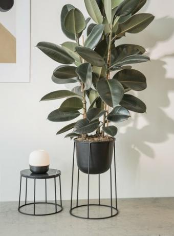 Base de arame de cardápio com pote preto