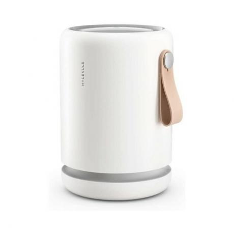 Molekule Air Mini purificador de ar