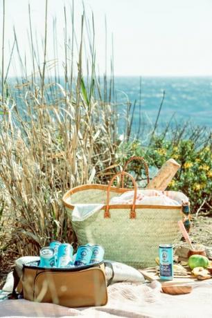 scena di picnic sulla spiaggia