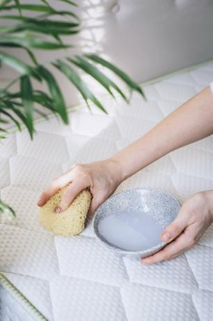 Mãos segurando uma esponja e uma tigela pequena sobre o colchão branco ao lado de uma planta média em um quarto branco