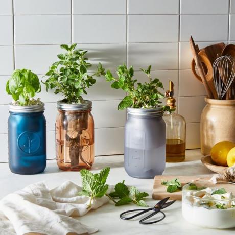 Modern Sprout Garden Jar Herb Kit