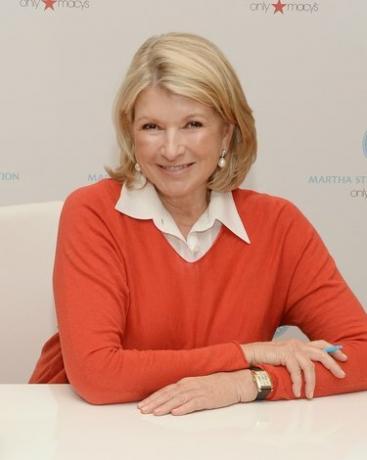 Il libro delle vacanze di Martha Stewart firma per 