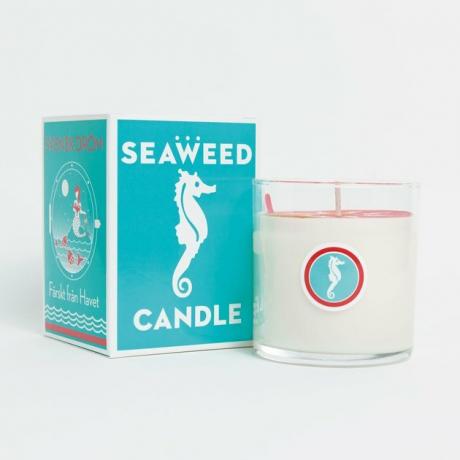 Vela de alga sueca dos sonhos, $ 30