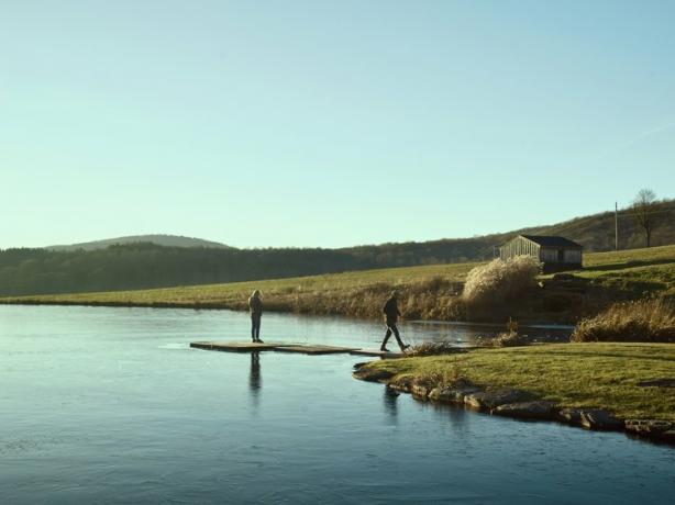 Brushland mangiare casa