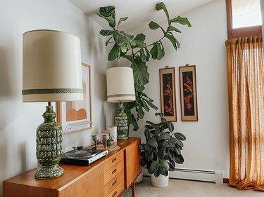 Fiddle Leaf Pianta di fico con credenza in legno, con accenti retrò, verdi e neutri.