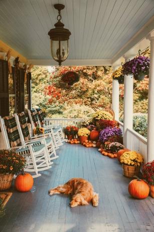 decoração de varanda com cadeiras de balanço e filhote de cachorro adormecido