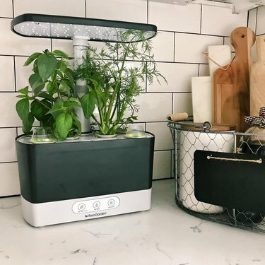 Colheita Aerogarden